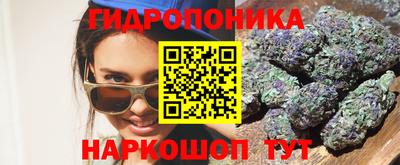 apvp Обнинск